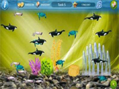 Tap Fish preview